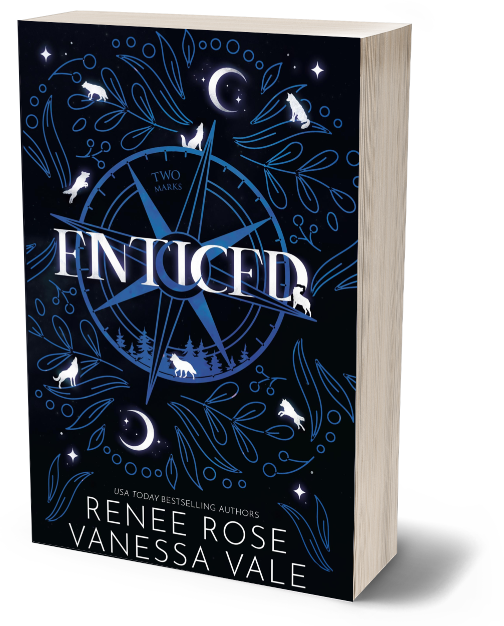 Two Marks Book 4: Enticed - signed paperback