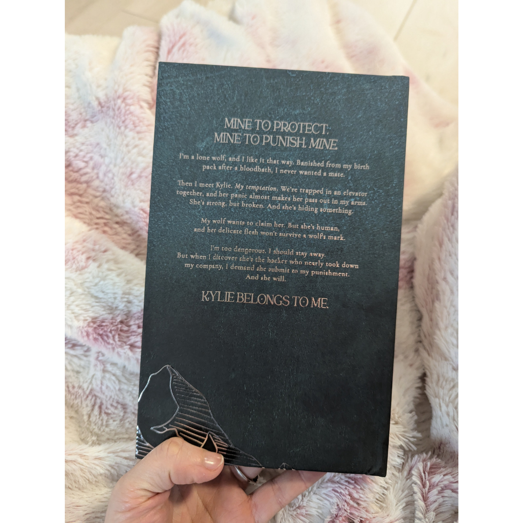 Bad Boy Alphas 1: Alpha's Temptation - Collector's Edition