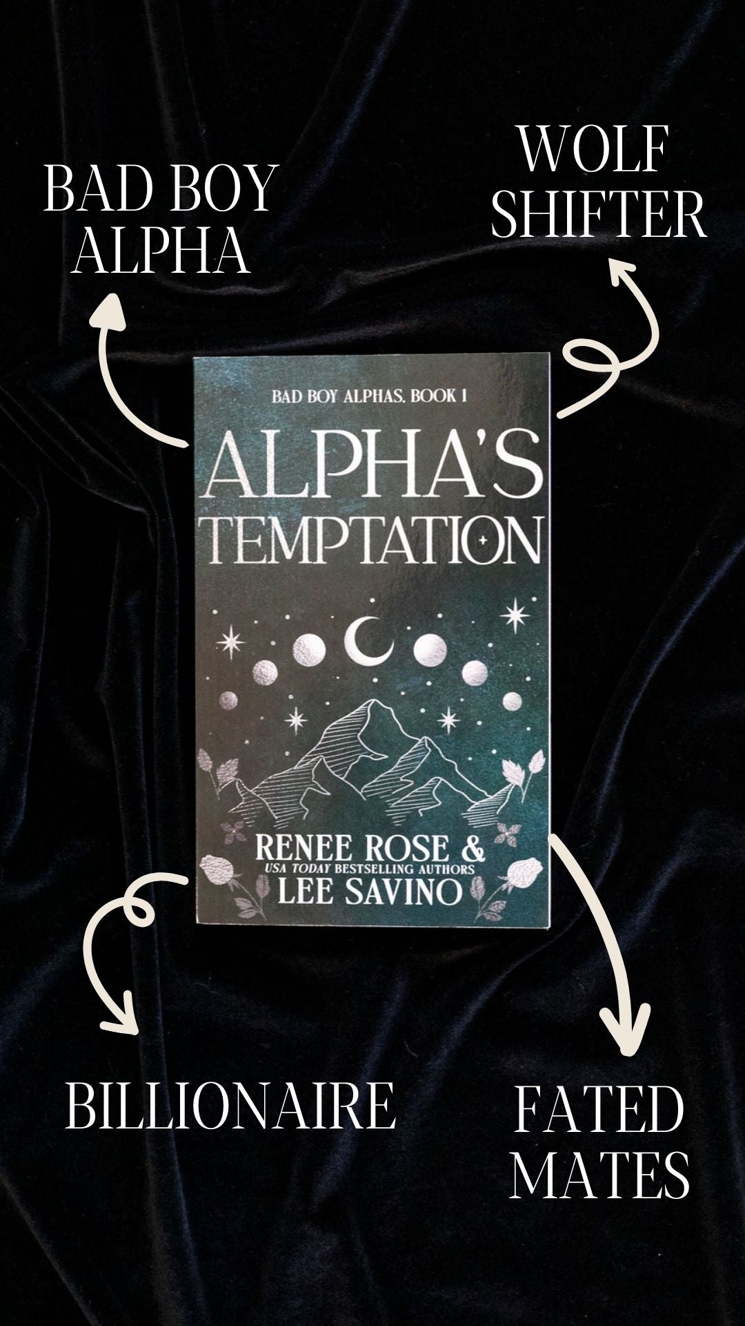 Bad Boy Alphas 1: Alpha's Temptation - Paperback